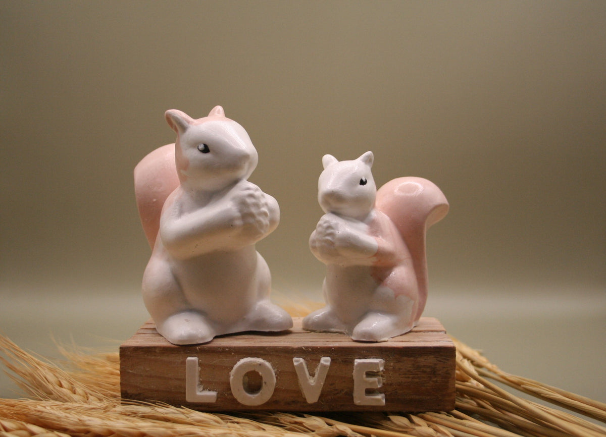 Duo d'amour d'écureuil love