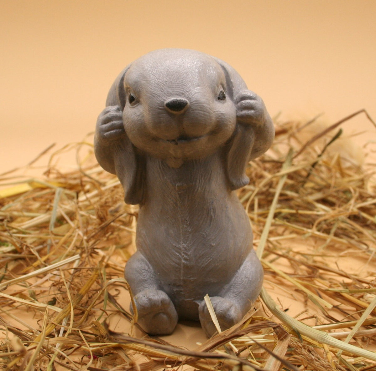 Lapin Timide