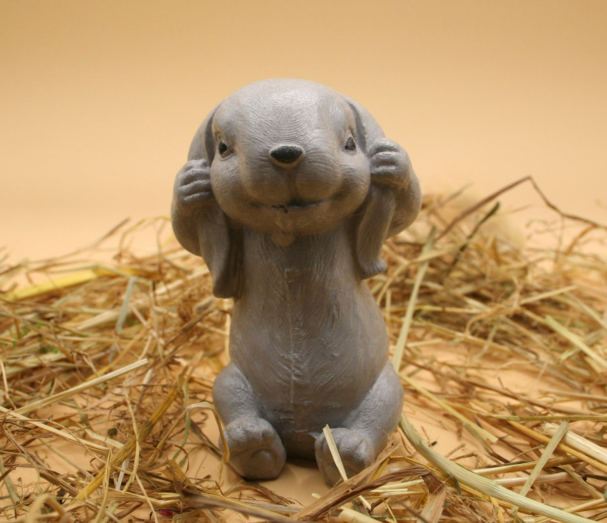 Lapin Timide