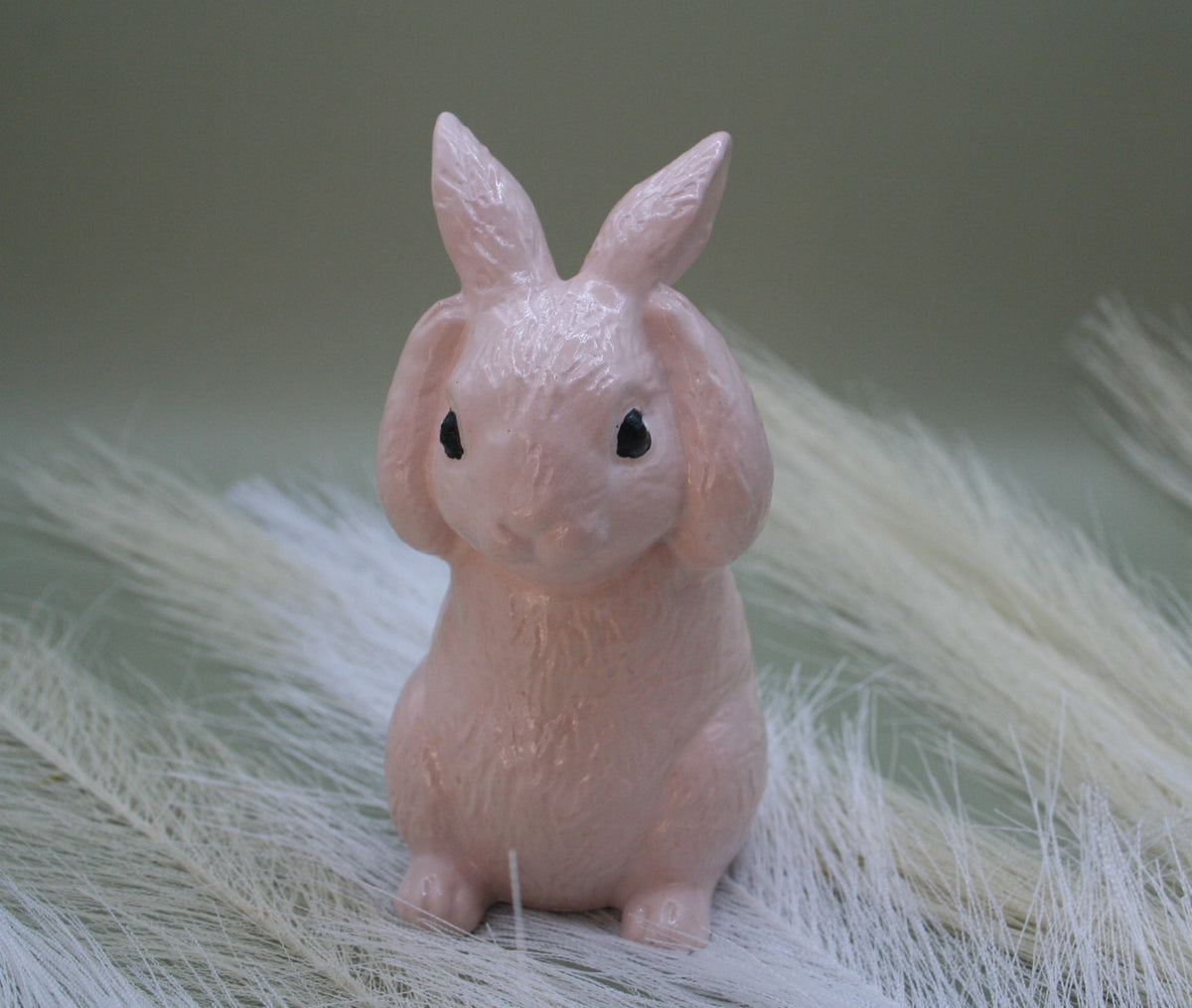 Lapin des Prés