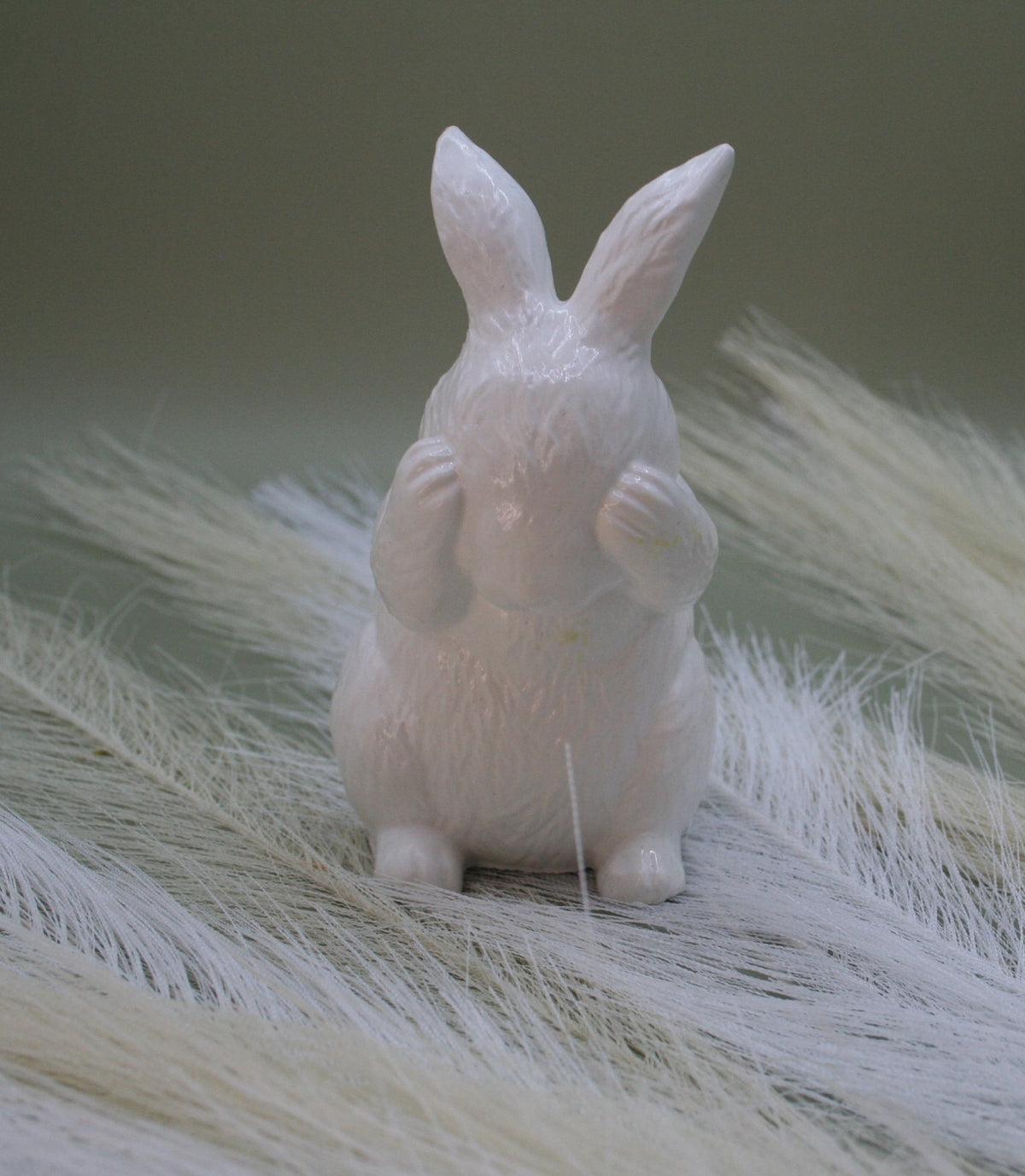 Lapin cache-coeur
