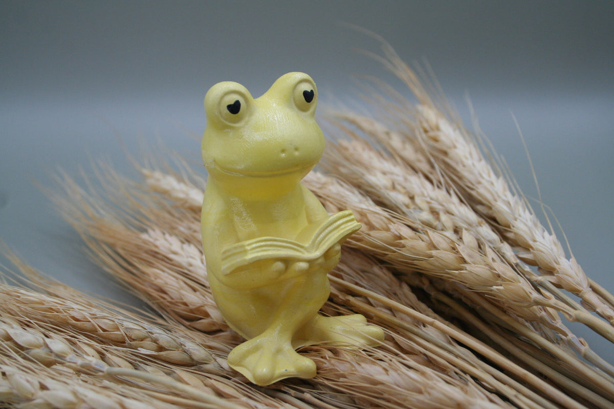 La grenouille curieuse