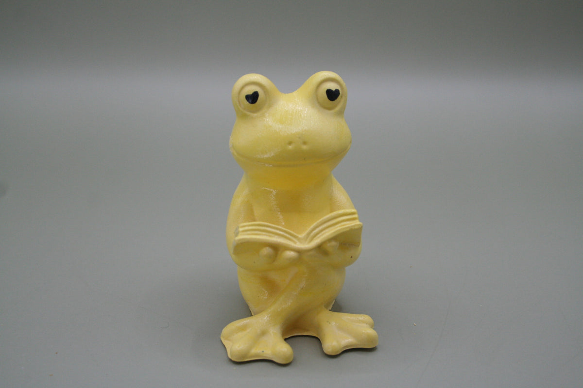 La grenouille curieuse