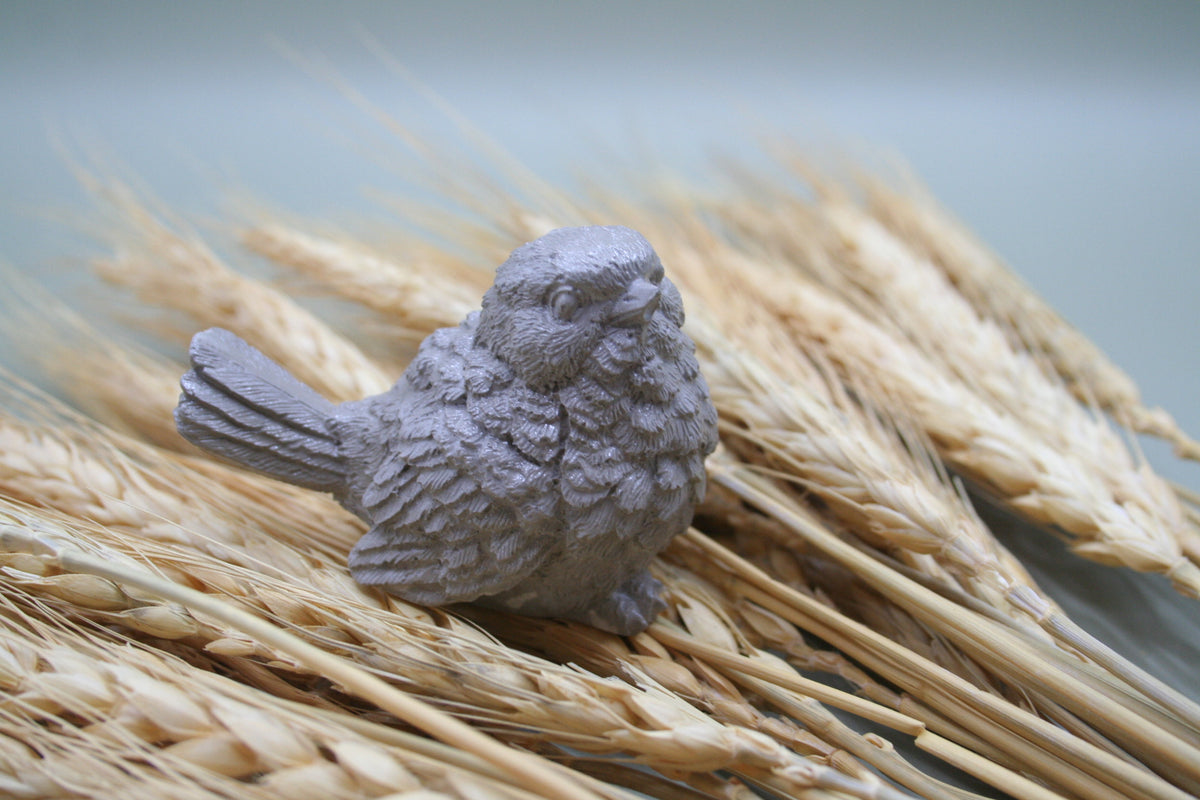 Plume d'Âme